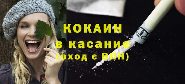 эйфоретик Гусь-Хрустальный