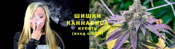 эйфоретик Гусь-Хрустальный