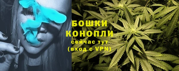 MESCALINE Гусев
