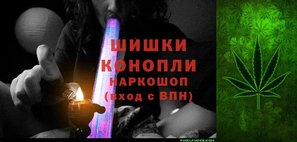 эйфоретик Гусь-Хрустальный